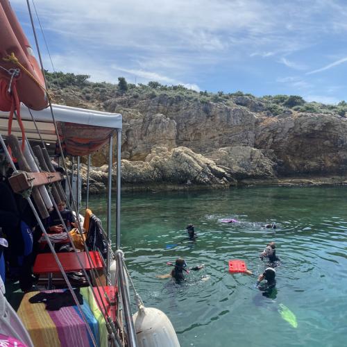 meeresbiologische Woche 