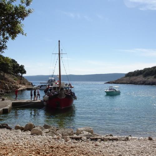 meeresbiologische Woche 