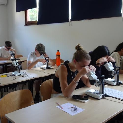 meeresbiologische Woche 