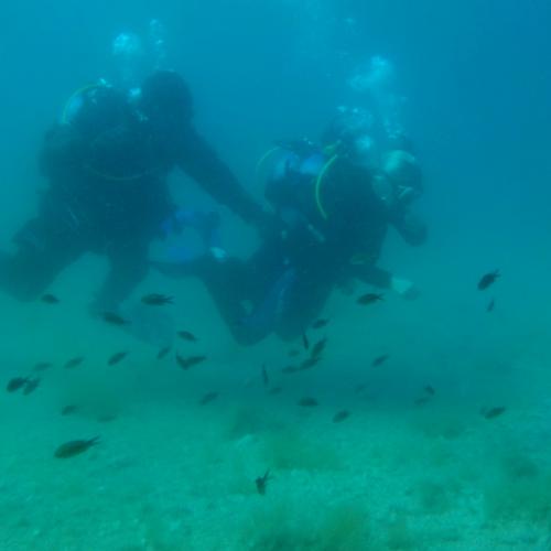 meeresbiologische Woche 