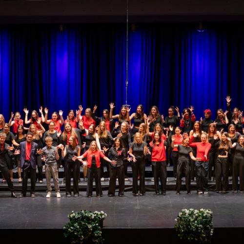 30 Jahre Silberstimmen