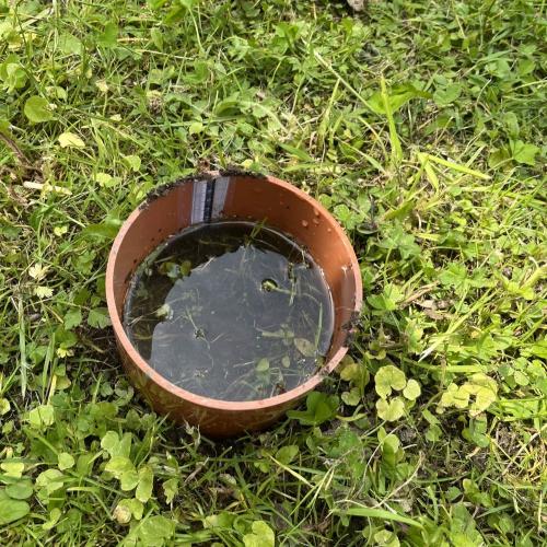 Kinder  nehmen Bodenproben