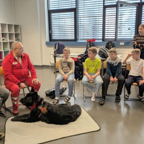 Hund in der Klasse 1A