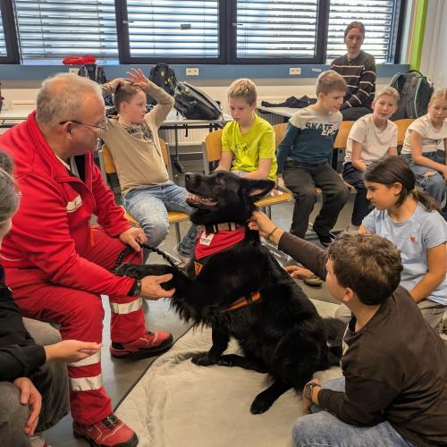 Hund in der Klasse 1A