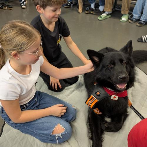 Hund in der Klasse 1A