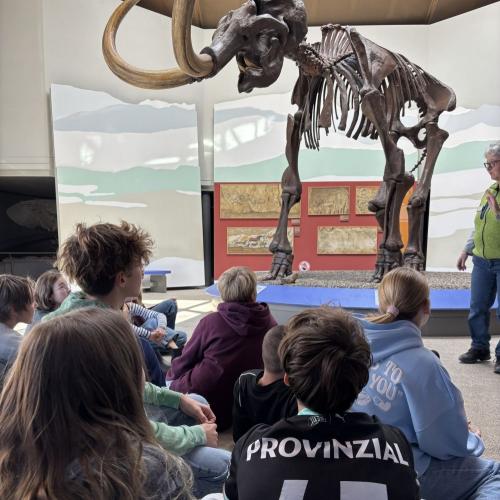 Schulklasse im Mammutmuseum