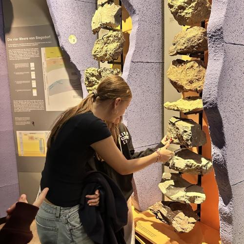 Schulklasse im Mammutmuseum