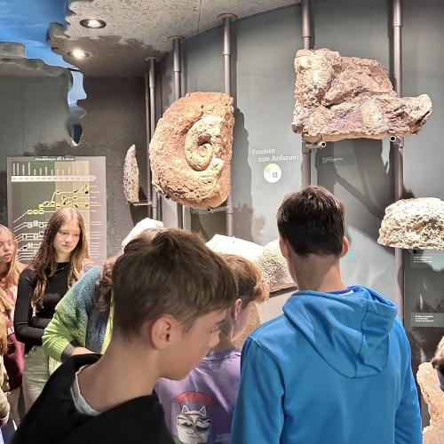 Schulklasse im Mammutmuseum