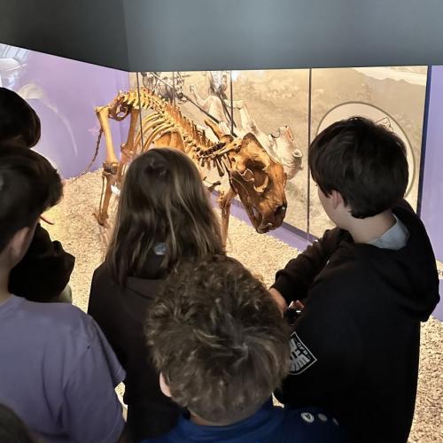Schulklasse im Mammutmuseum