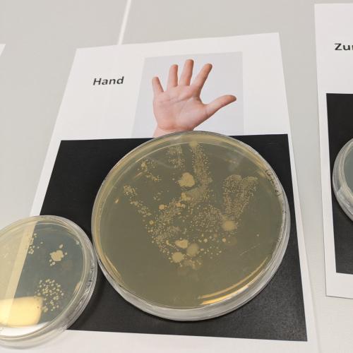 bei den Open Lab Days