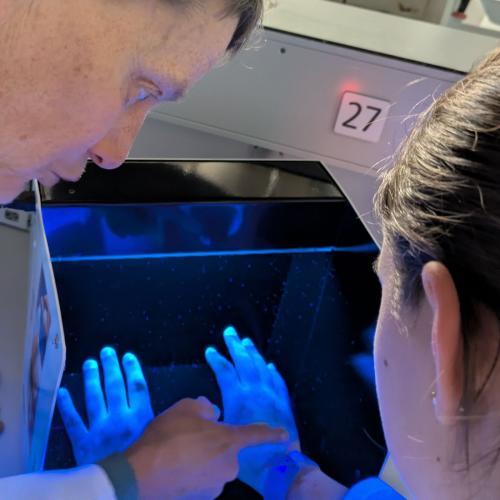 bei den Open Lab Days