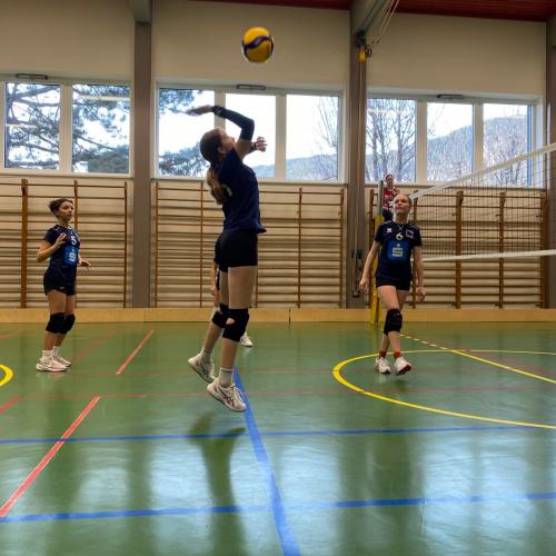 Volleyball