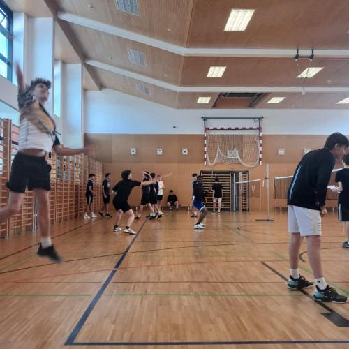 Badminton Schulcup