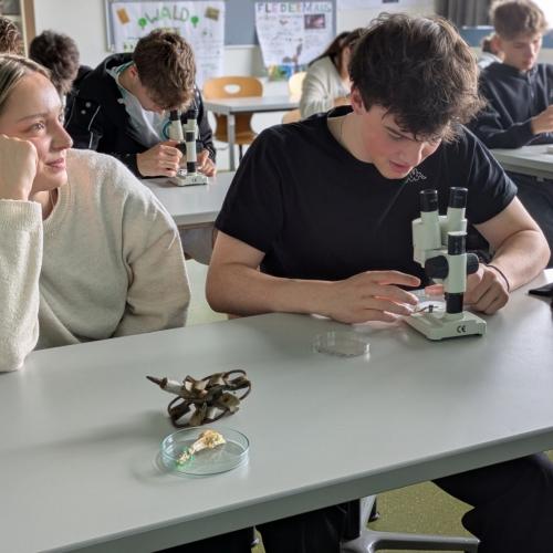 Workshop "Plastic is (not) fantastic"