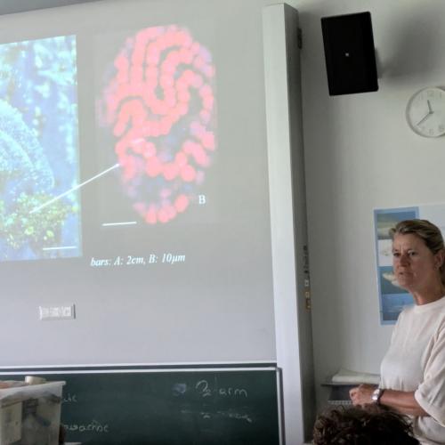 Workshop "Plastic is (not) fantastic"