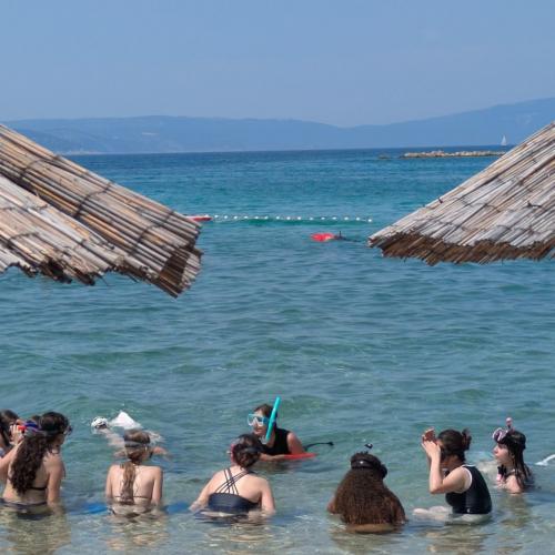 auf der Insel Krk