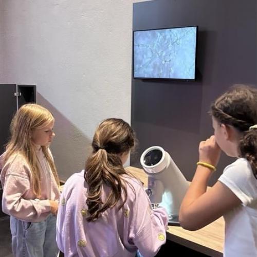 Schüler im Mikroversum