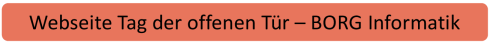 BORG Informatik